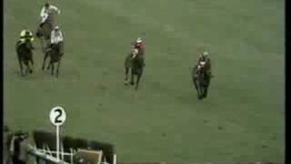 Bula 1972 Champion Hurdle [upl. by Nuawad]