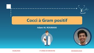 Cocci à Gram positif  Streptocoques I [upl. by Nehgaem]