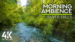 10 HOURS Morning Bird Songs and River Sounds for the Best Start of the Day  Morning River 4K UHD [upl. by Oirramed624]