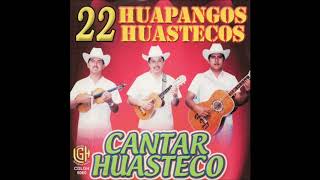 Cantar Huasteco  22 Huapangos Huastecos Disco Completo [upl. by Lek]