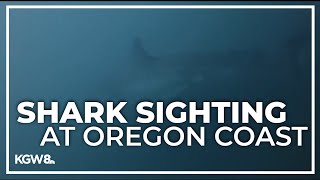 Man comes face to face with great white shark off Oregon Coast [upl. by Raynor81]