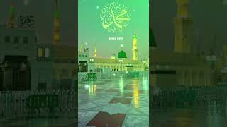 Gham Ho Gaye He Beshumar 💐 naatsharif islamicvideo [upl. by Anelam]