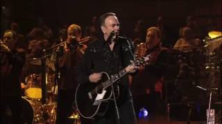 NEIL DIAMOND  HOT AUGUST NIGHT LIVE2008 [upl. by Nikolos]