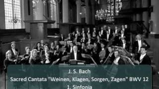 J S Bach  Cantata quotWeinen Klagen Sorgen Zagenquot BWV 12  1 Sinfonia 17 [upl. by Zephan]