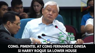 CONG PIMENTEL AT CONG FERNANDEZ GINISA SI HARRY ROQUE SA LOWER HOUSE [upl. by Gavriella303]