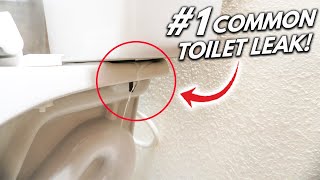 How To Fix The 1 Hidden Toilet LEAK DIY [upl. by Aihsatsan]