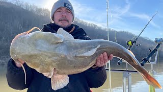 Winter Flatheads Are Biting￼￼ On The Ohio River 28° morning￼ [upl. by Akemeuwkuhc682]