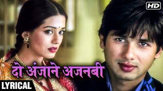 Do Anjaane Ajnabi  Hindi Lyrics  Vivah  Shahid Kapoor Amrita Rao  Udit Narayan Shreya Ghoshal [upl. by Danuloff]