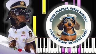 Perro Salchicha Gorda Bachicha  Piano Tutorial  MIDI Gratis [upl. by Bullis]