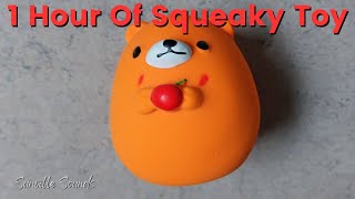 1 Hour Of Squeaky Bear Egg Toy Sound [upl. by Durrell]