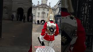 Household Cavalry shortvideo [upl. by Gorga43]