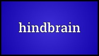 Hindbrain Meaning [upl. by Gallager139]