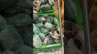 Seafood ablone shells oyester snails variety food hot viralshorts [upl. by Nic704]