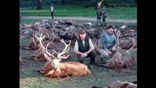 Trophies Monteria 2023BIG IBERIAN STAGS BIG WILDBOARS httpswwwspanishhuntingadventurecom [upl. by Ahsahs]