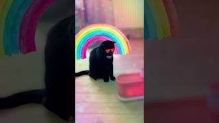 i love cat 🐈😻 viral love car cars shorts shortvideo cats cat catshortscatcats tiktoriki [upl. by Breskin]