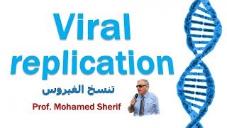 Viral replication  تزايد الفيروسات [upl. by Eissej501]