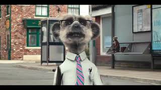 Compare The Market Meerkat Movies Sponsorship Bus [upl. by Ecirtel]