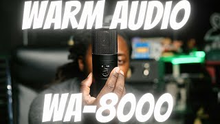 Warm Audio WA8000 VS Neve Shelford VS Neumannv402 VS Bae 1073 VS Carbon Preamp [upl. by Anala692]