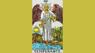 14 Temperance Tarot Card Balance Divine Timing and Harmony ❤️ [upl. by Fina30]