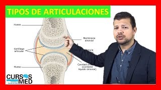 TIPOS DE ARTICULACIONES SINOVIALES 2024 ✅ [upl. by Enomrej]