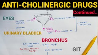 Autonomic Pharmacology  9  AntiCholinergic Drugs Continued  EOMS [upl. by Heady]