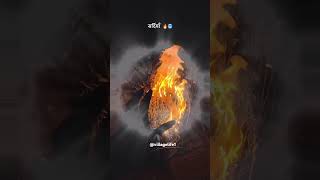 New pb song nya punjabi song viralvideo fire punjabisong [upl. by Fidellia]