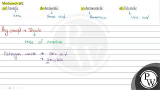 Most insects are a Ureotelic b Aminotelic c Ammonotelic [upl. by Barina]