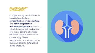 IM16 A Compensatory mechanisms involved in Heart failure [upl. by Richmond959]