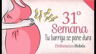 SEMANA 31 de Embarazo  8º Mes  Semana a semana [upl. by Hazeefah]