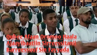 Qubee Afaan Oromoo Haala Ajaayibaatiin Sirreessitanii Barreessuuf Channel Kana Subscribe Taasisaa [upl. by Elime]