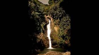 Salto de Garzas del Río Guayanés en Peñuelas Puerto Rico [upl. by Chuipek]