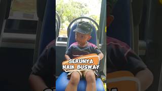 naik busway ke ragunan transjakarta busway minitrans ragunan hewan jakarta [upl. by Enyluqcaj169]