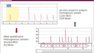 Pyrosequencing — technology for microbial identification and resistance screening assays [upl. by Alarick]