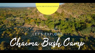 Exploring Chacma Bush Camp [upl. by Acnalb]