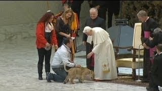 Fest und Vergnügen für Benedikt XVI [upl. by Bull]