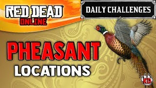 Red Dead Online  Pheasant Location  RDR2 Daily Challenge Pheasants Plucked [upl. by Nahtad]