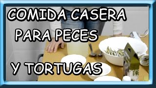 como hacer comida casera para peces y tortugas [upl. by Eseila]