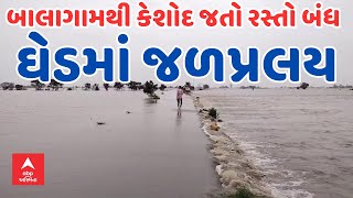 Ghed Flood Ground Report  ઘેડમાં જળપ્રલય  બાલાગામથી કેશોદ જતો રસ્તો બંધ [upl. by Ebbie301]