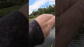 4s Tipp SchnippsTechnik zum Lösen von Hängern angeln fishing carpfishing carp angelfischen [upl. by Mellie]