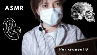 ASMR de NERVIOS CRANEALES par craneal 8 Completo relajante  español [upl. by Emerald276]