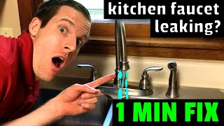 EASY FIX Kitchen Faucet Leaking How to fix a leaky kitchen faucet in 1 minute [upl. by Akined705]