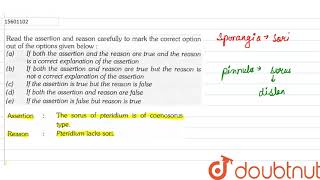 Assertion The sorus of pteridium is of coenosorus type Reason Pteridium lacks sori [upl. by Allimac941]