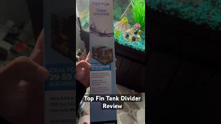 Top Fin Tank Divider Review topfinds fishtank aquarium guppyfry guppy shorts [upl. by Picker]