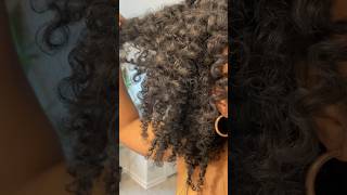 TWIST OUT Routine on My Natural Hair  Beginner Friendly with Shea Moisture naturalhairjourney [upl. by Dorcus]