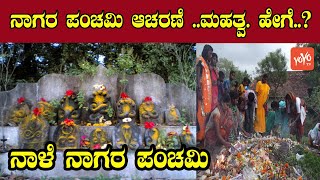 Nagara Panchami Festival 2020  Nagara Panchami Pooja Vidhana in kannada  YOYO Kannada News [upl. by Jorgan136]