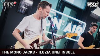 THE MONO JACKS  ILUZIA UNEI INSULE cover RASR [upl. by Kenley]