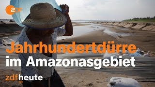 Regenwald ohne Regen Angst um das Amazonasgebiet  auslandsjournal [upl. by Yob121]