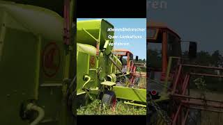 Getreideernte Claas Junior Automatic Senatore Cappelli und Champagnerroggen im Selbstversorgergarten [upl. by Keating818]