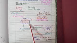 Membranoproliferative Glomerulonephritis  Pathology [upl. by Sibylla]