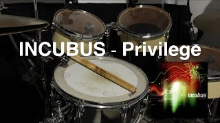 Cover 3 Incubus  Privilege [upl. by Llennol375]